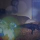 Illustration for article titled Shooting Challenge: Lens Flare Gallery Part Two